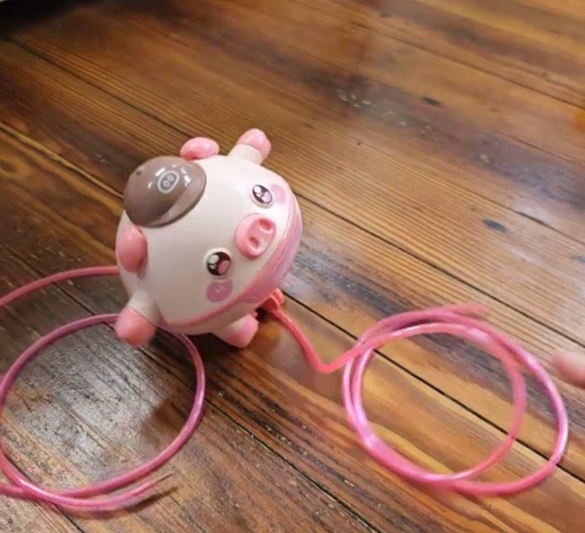 Tightrope Walking Tumbler Pig – Fun Balance Toy for Children